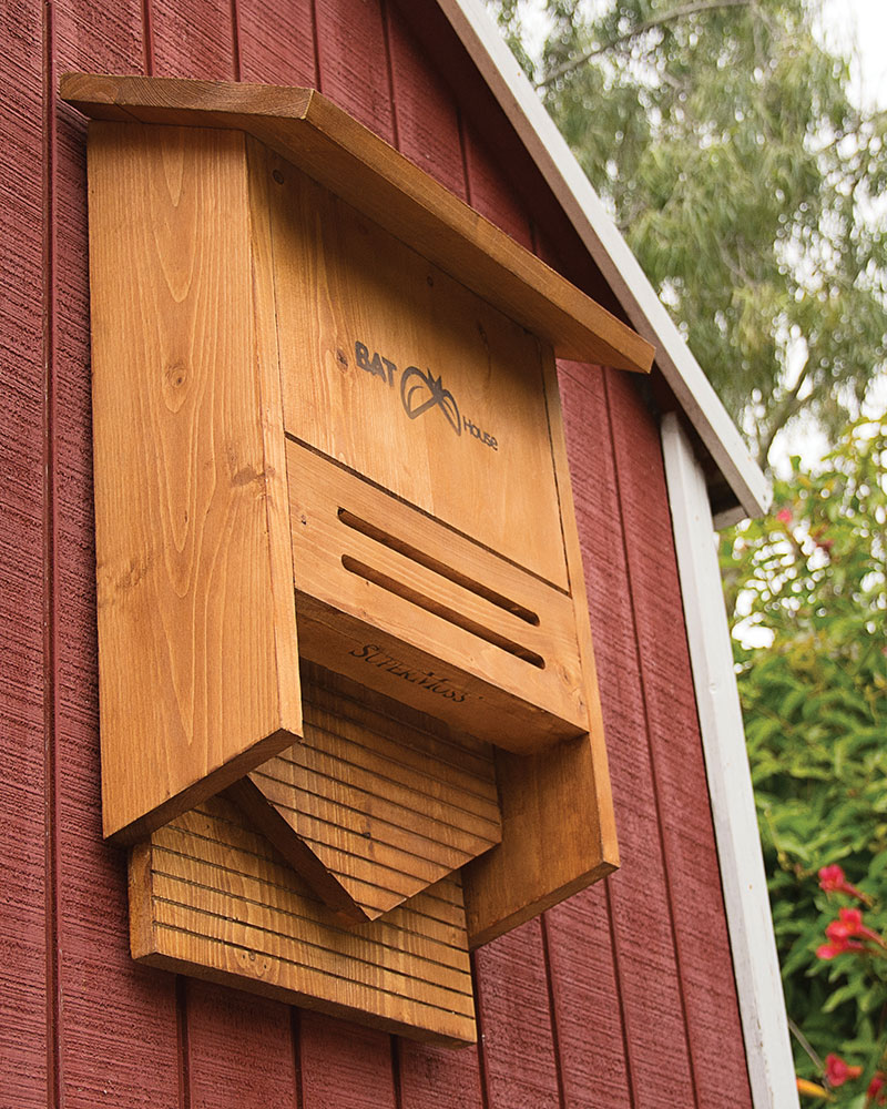 SuperMoss Beneficial Bat House, Walnut Stain