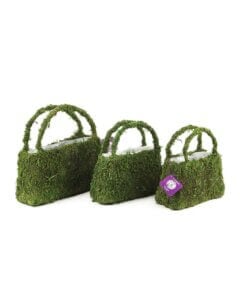Beaumont Purse Planter Set