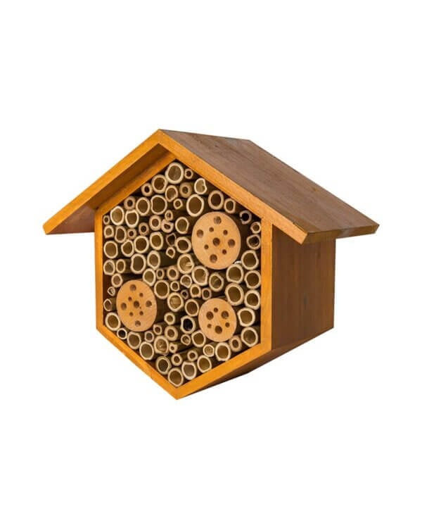 Hibiscus Beneficial Bug House