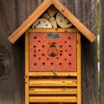 Beneficial_Bug_Hotel_LIFESTYLE01