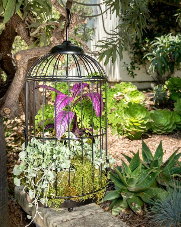 Hanging Birdcage Planter Set of 2