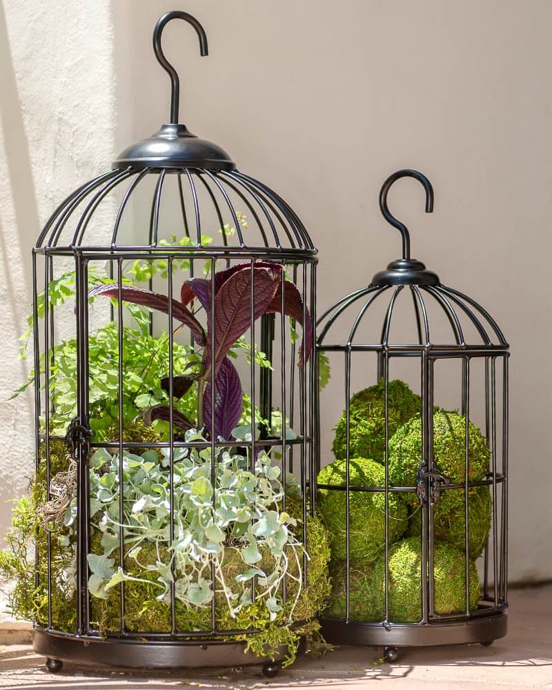 Bird Cage, Set of 2 #2