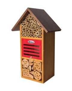 Iris Beneficial Bug House