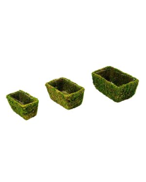 SuperMoss  Buy Moss, Hanging Baskets, and Floral Accessories Online!