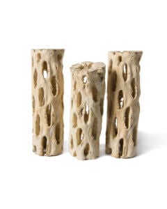 Cholla Wood, Natural, 3-Pack