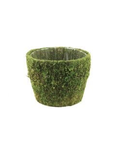 Creekside Deco Moss Basket