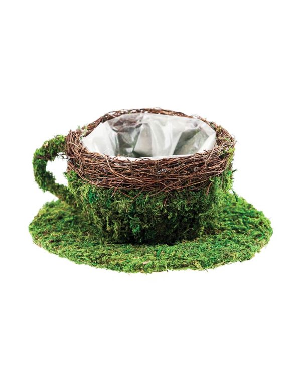 SuperMoss Deco Coffee Cup Planter