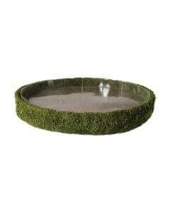 Round Propagation Tray