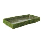 Fairy_Garden_Basket_Fresh_Green_24x12_50342