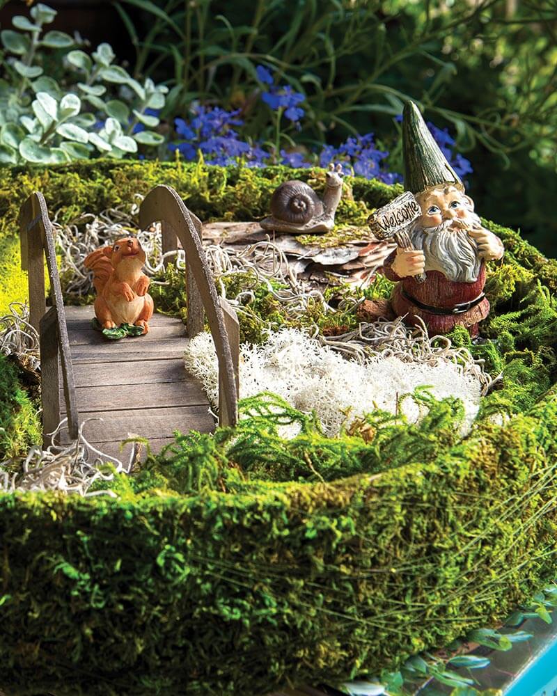 SuperMoss Fairy Garden Basket Kit, Fresh Green, 15in