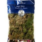 Feather_Moss_Dried_Natural_8oz_Bag_22155