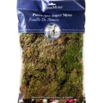 Feather_Moss_Preserved_Fresh_Green_8oz_Bag_22165