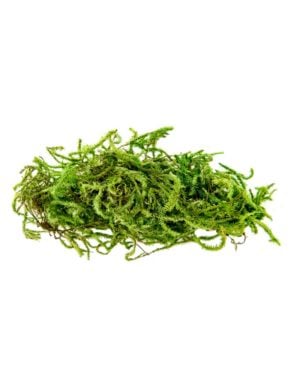 SuperMoss® Instant Green® Sticky All-Purpose Moss Mat