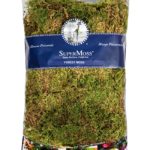 Forest_Moss_Dried_Natural_Green_16oz_Bag_21579