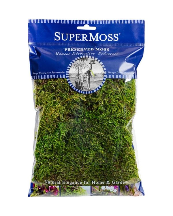 Forest Moss Preserved 25322 8oz .10 Pack SuperMoss Fresh Green 