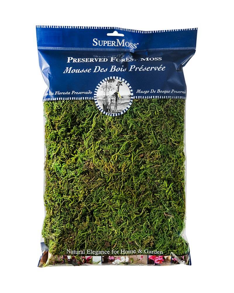 SuperMoss | Preserved Forest Moss