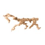 Grapevine_Branch_Medium_23494