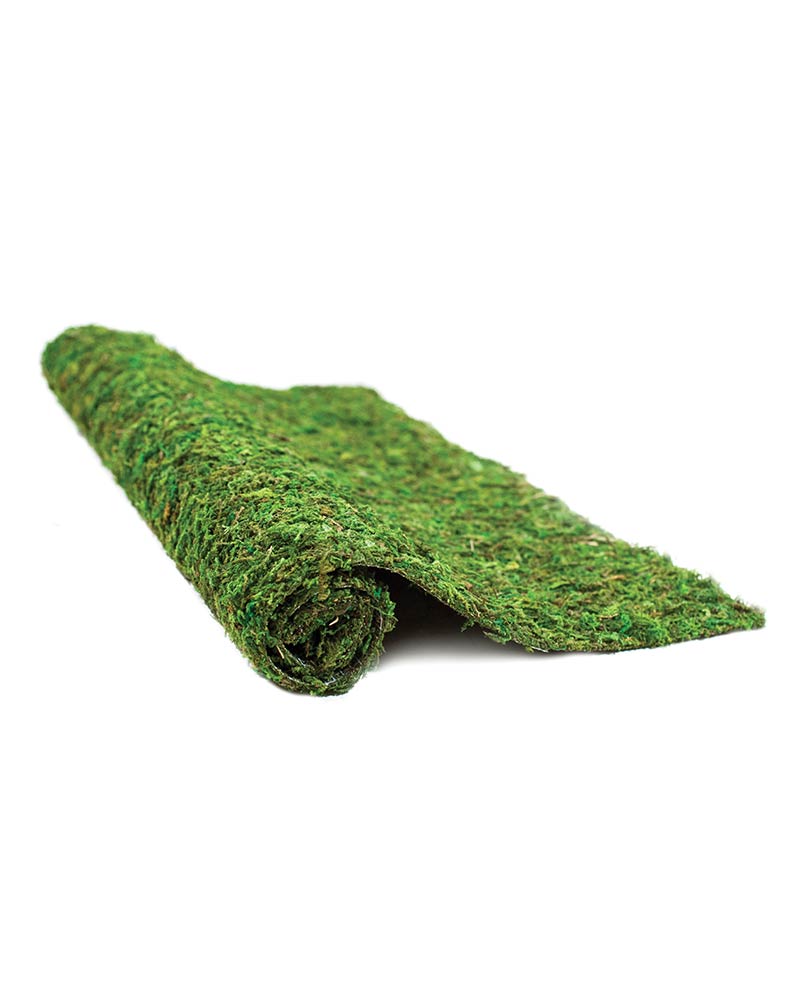 SuperMoss Instant Green Moss Mat