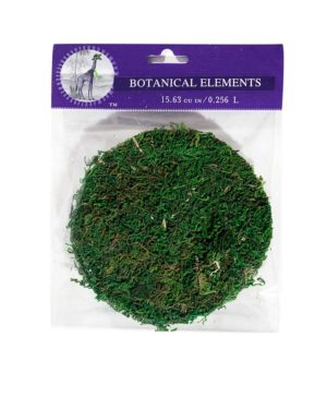 SuperMoss (21539) Mood Moss Preserved, 200 Cubic Inch Bag (Appx. 8oz),  Fresh Green