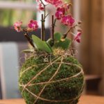 Kokedama_Kit_LIFESTYLE01