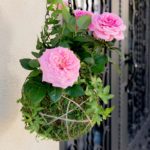 Kokedama_Kit_LIFESTYLE03