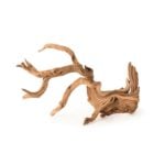 Manzanita_Root_Small_23496
