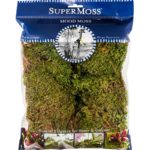Mood_Moss_Dried_Natural_4oz_Bag_21546_HERO