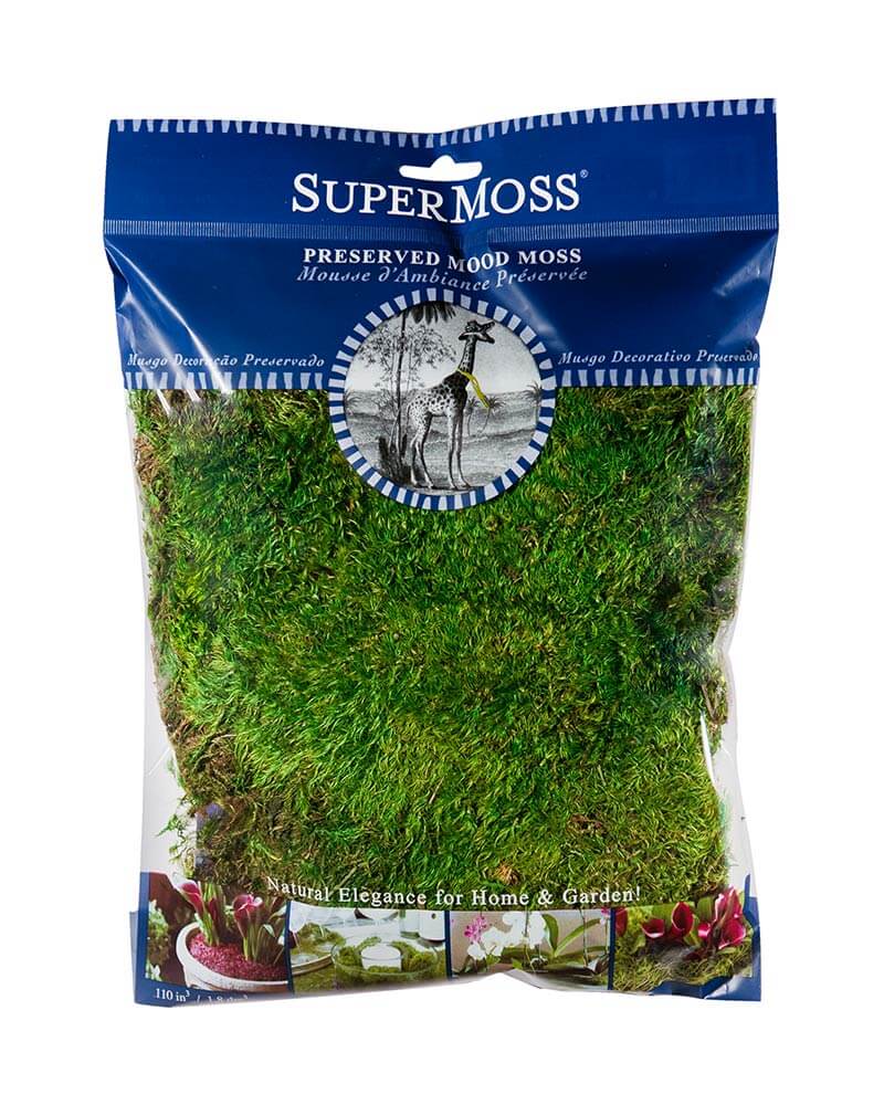 SuperMoss | Mood Moss Preserved