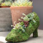 Moss-Shoes_LIFESTYLE03