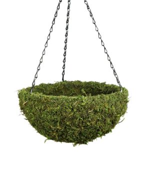 Orchid Kokedama (White) Moss Ball Product – White Stable Farms