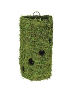MossWeave Wall Sconce, 8"