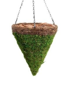 MossWeave Cone Hanging Basket, Wicker Rim
