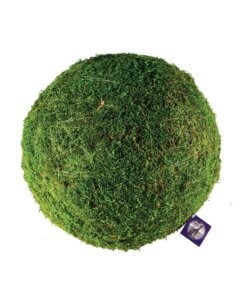 Moss Balls
