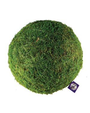 SuperMoss Spanish Moss Preserved Grass - 32oz - Armstrong Garden Centers