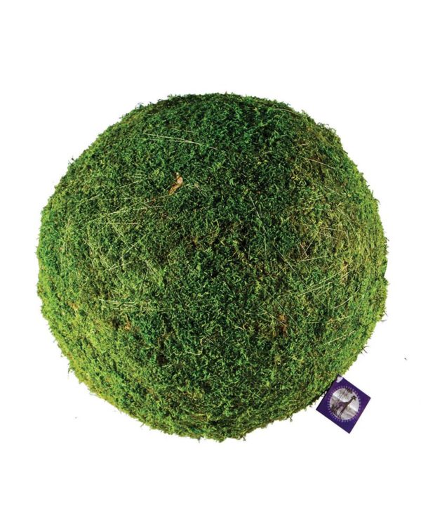 NUOLUX 2pcs Preserved Moss Decorative Moss Balls Decor Balls Green