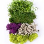 Moss_Mix_Assorted_Best_Sellers_INDEX