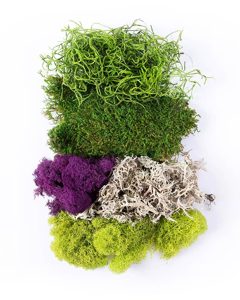 Fresh Green 4-Inch 4" Super Moss 21648 Sheet Moss Ball Fresh Green 4-Inch 4" Super Moss 21648 Sheet Moss Ball