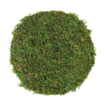 Mossy_Table_Setting_Forest_Moss_12in_26280
