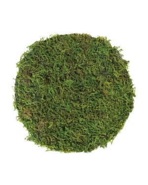 Super Moss Orchid Sphagnum Moss Dried Natural Color 16oz 