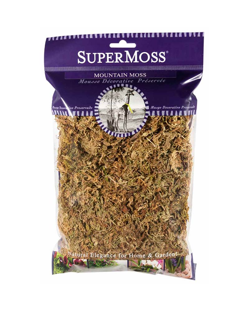 What is MOSS? – MountainMoss