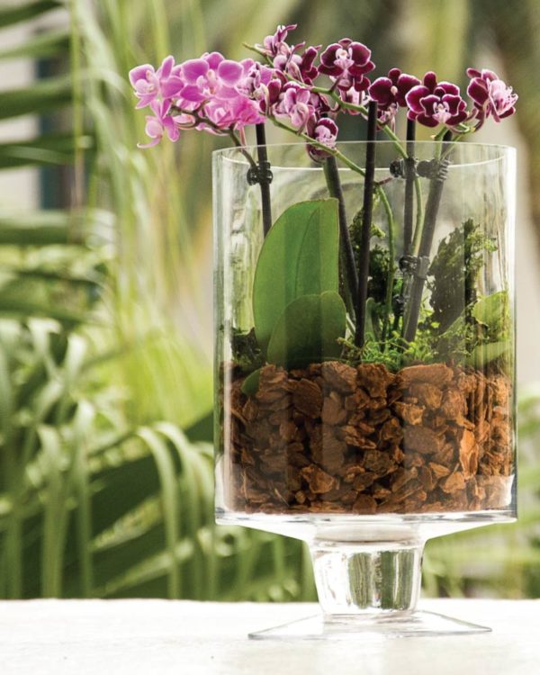 Gubler Orchid Moss 2-cu ft Potting Soil Mix | Nursery