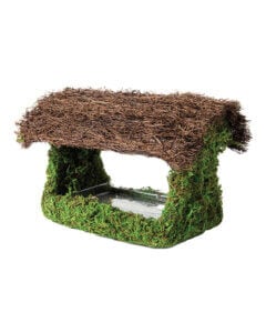 Plantable Porch Bird Feeder