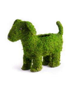 Doggy Creative Moss Planter