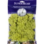 Super Moss Mood Moss Preserved Natural Green 1200cuin, Fresh Green, 200 in3  Bag (Appx. 8oz) (21539) (Pack of 2)