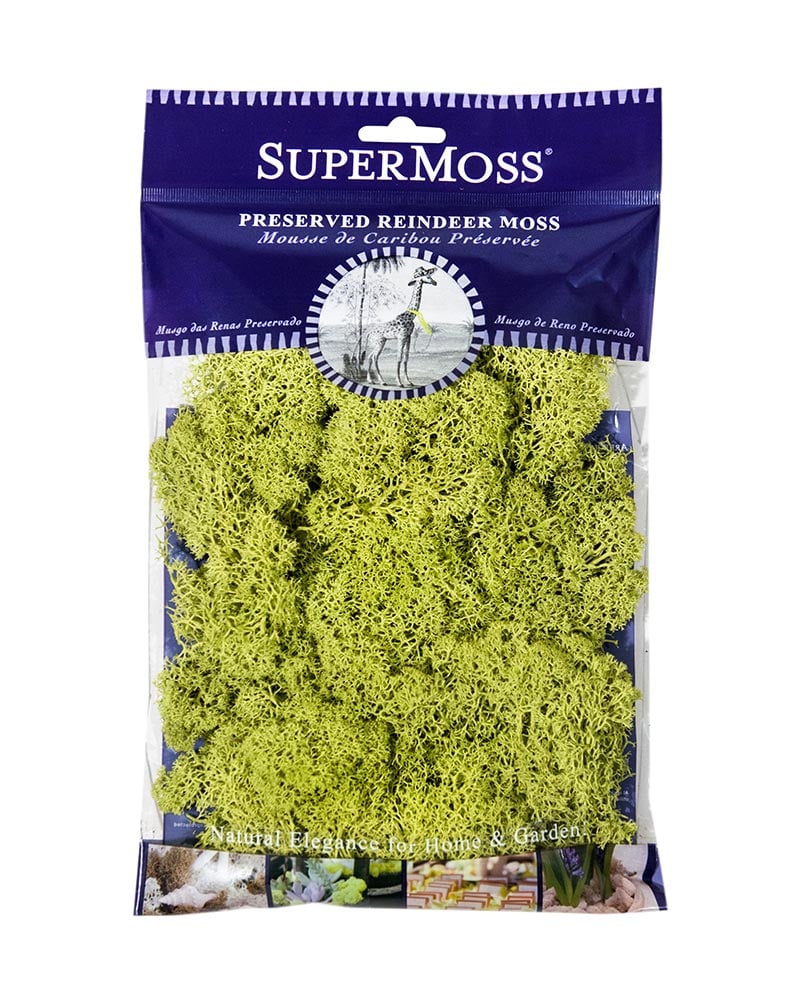 Super Moss Preserved Bright Green Natural Country Primitive Craft