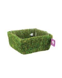 Santee Deco Moss Basket