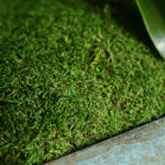 Sheet-Moss_Preserved_LIFESTYLE02