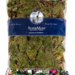 Sheet_Moss_Petite_Dried_Natural_32oz_Bag_21753
