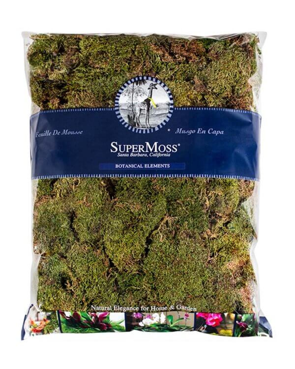 Petite Sheet Moss Dried
