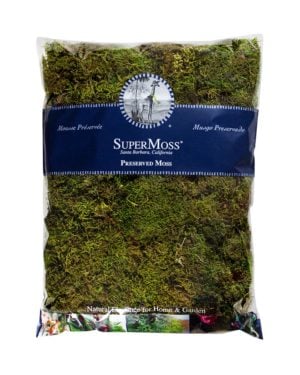 Fresh Green SuperMoss 25325 Forest Moss Preserved 3lbs 